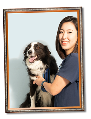 Michelle Kim - Trainee Veterinary Nurse