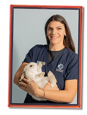 Sara - Veterinary Nurse