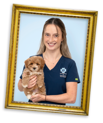 Britt - Vet Nurse, Normanhurst Vet Practice