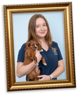Maddie - Vet Nurse - Normanhurst Vet Practice
